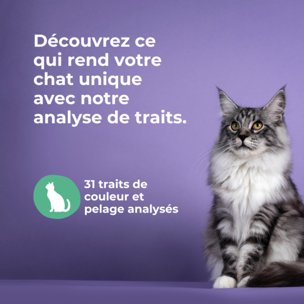 Bilan génétique pour chat - pack 1 kit – Image 4