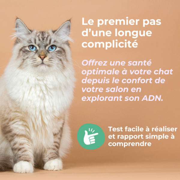 Test PKD pour chat – Image 2