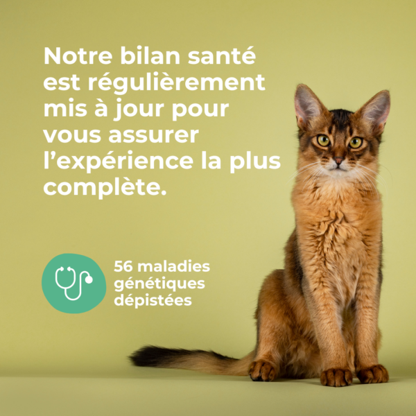 Bilan génétique pour chat - pack 1 kit – Image 3