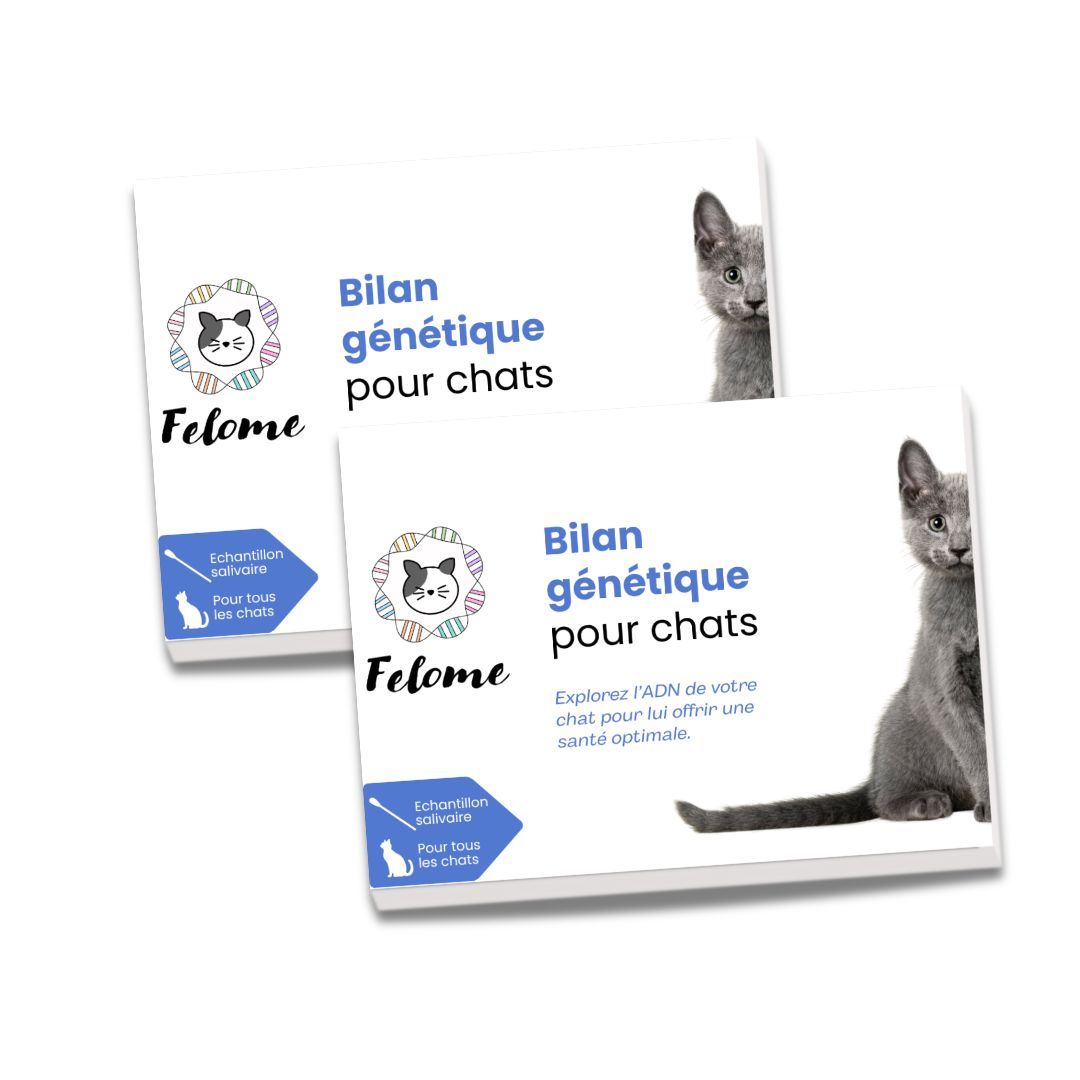 Bilan génétique pour chat - pack 2 kits