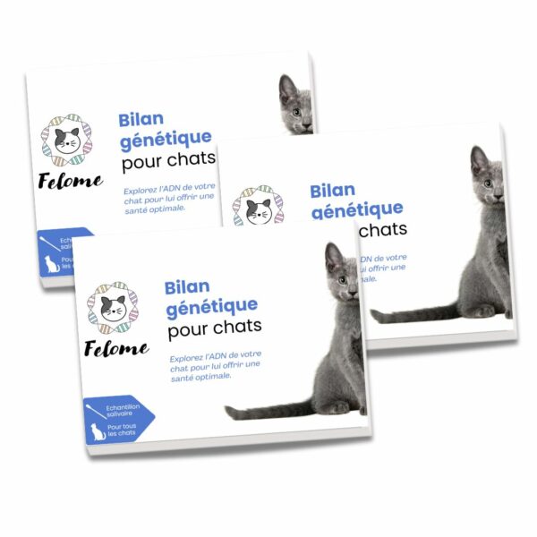 Bilan génétique pour chat - pack 3 kits