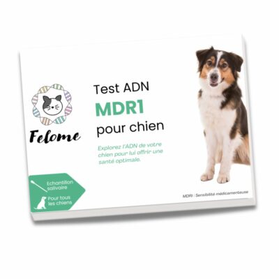 Test MDR1 pour chien