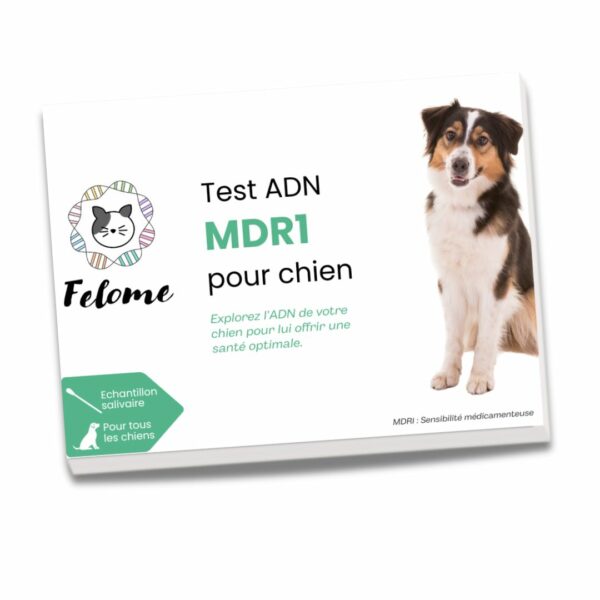 Test MDR1 pour chien