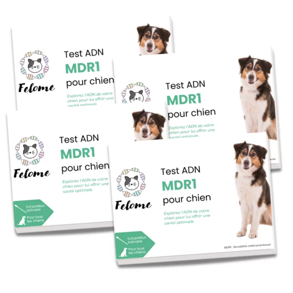 Test MDR1 pour chien - pack de 4 kits ou plus