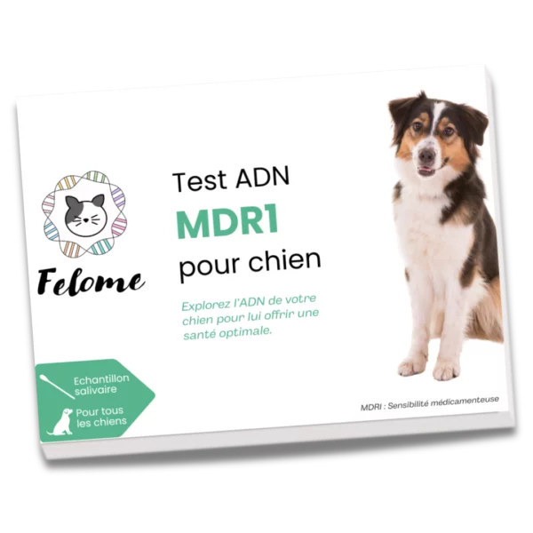 Test MDR1 pour chien