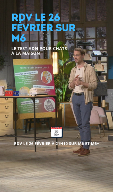 Vue-téléphone-QVEMA
