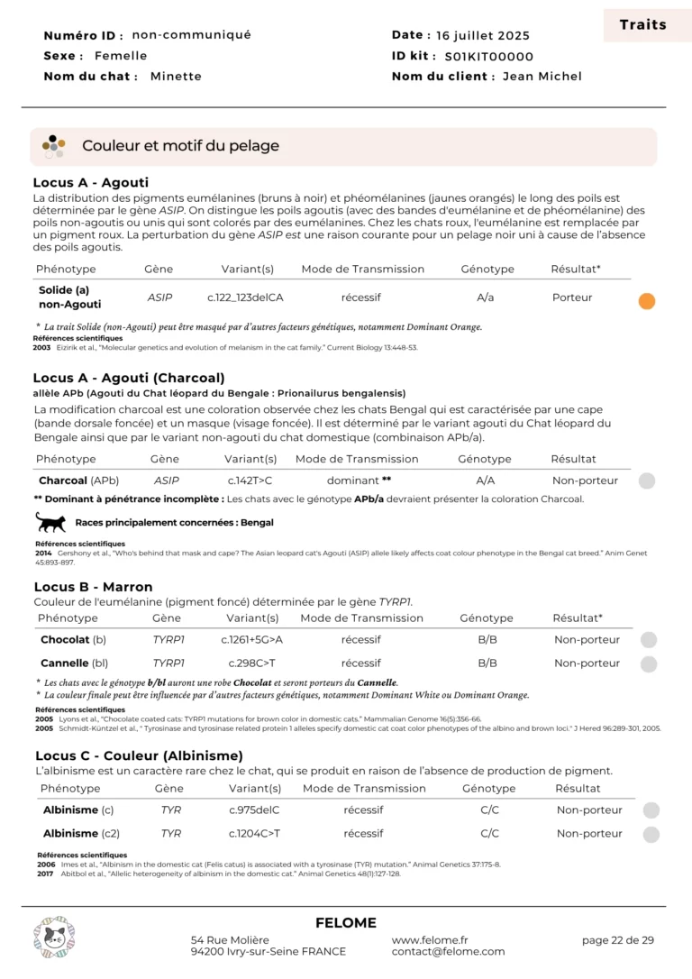 22-rapport-traits-1
