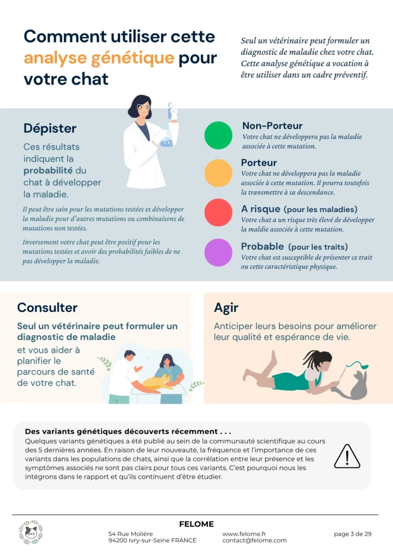 3-rapport-instructions