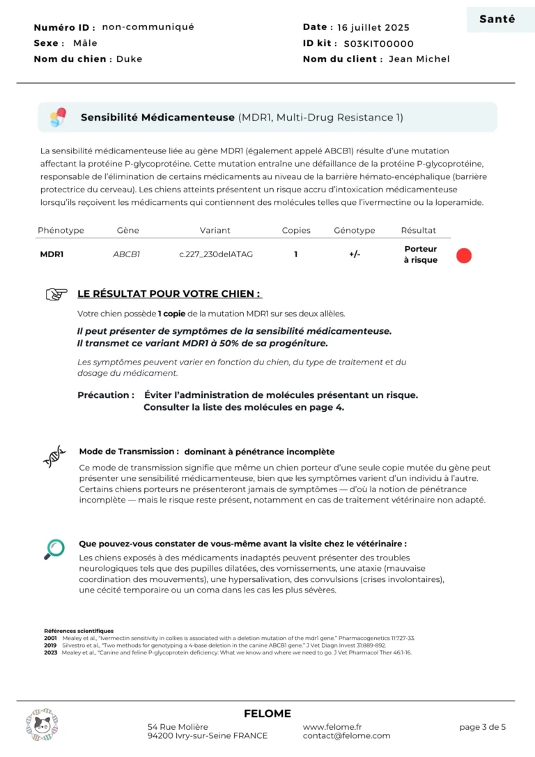 3-rapport-mdr1