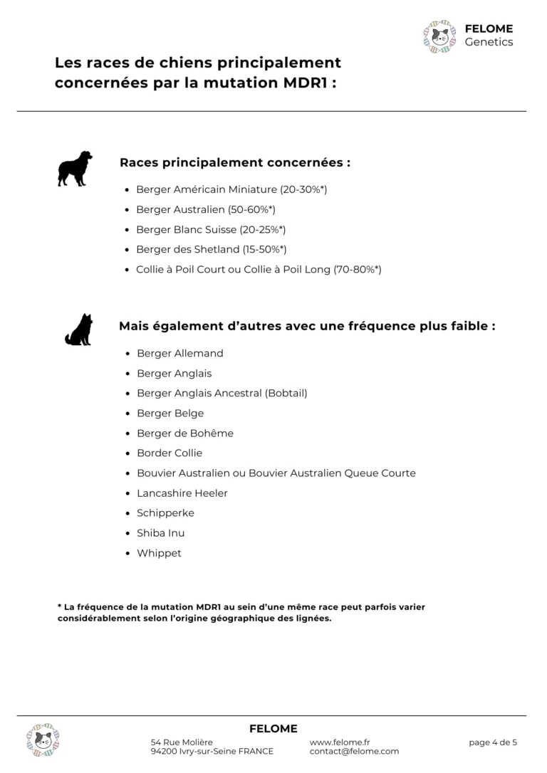 4-rapport-mdr1