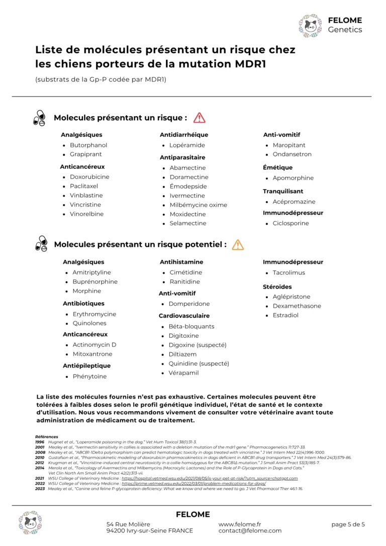 5-rapport-mdr1