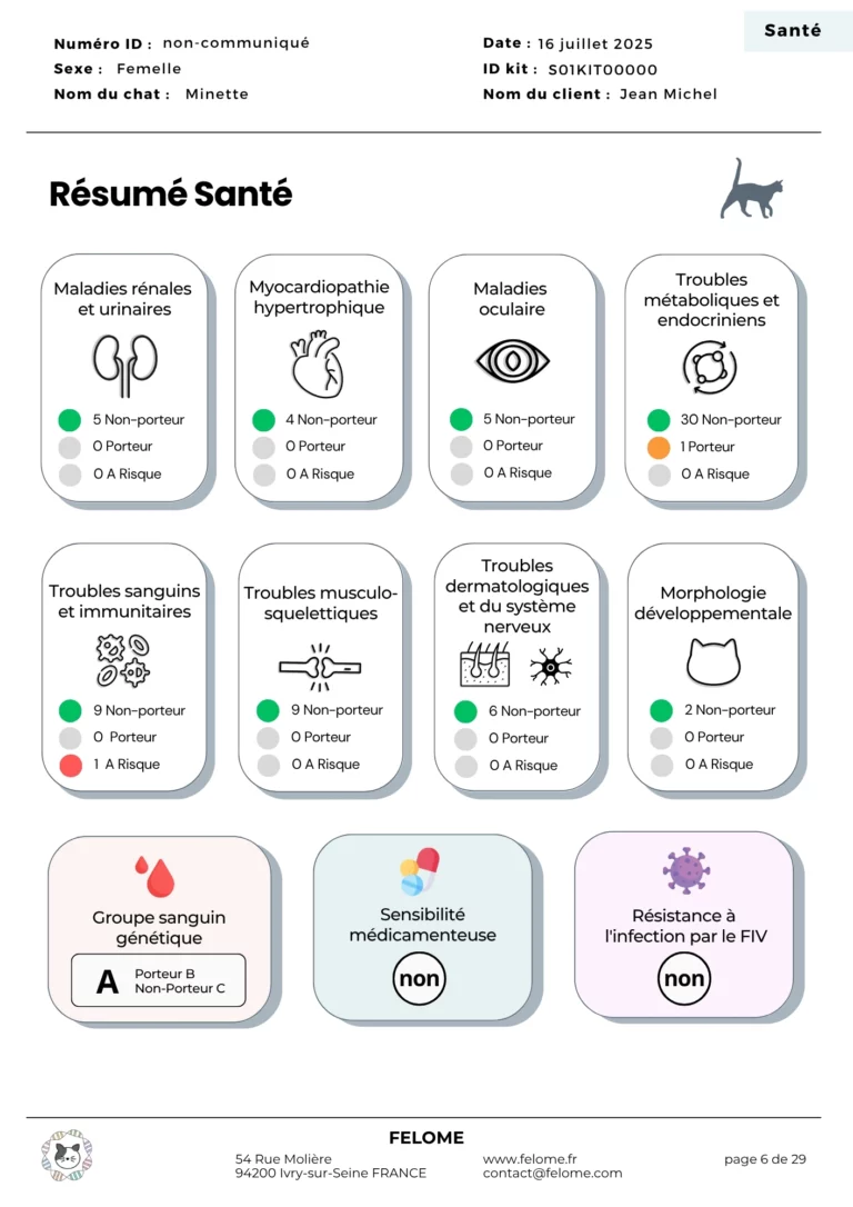 6-rapport-sante