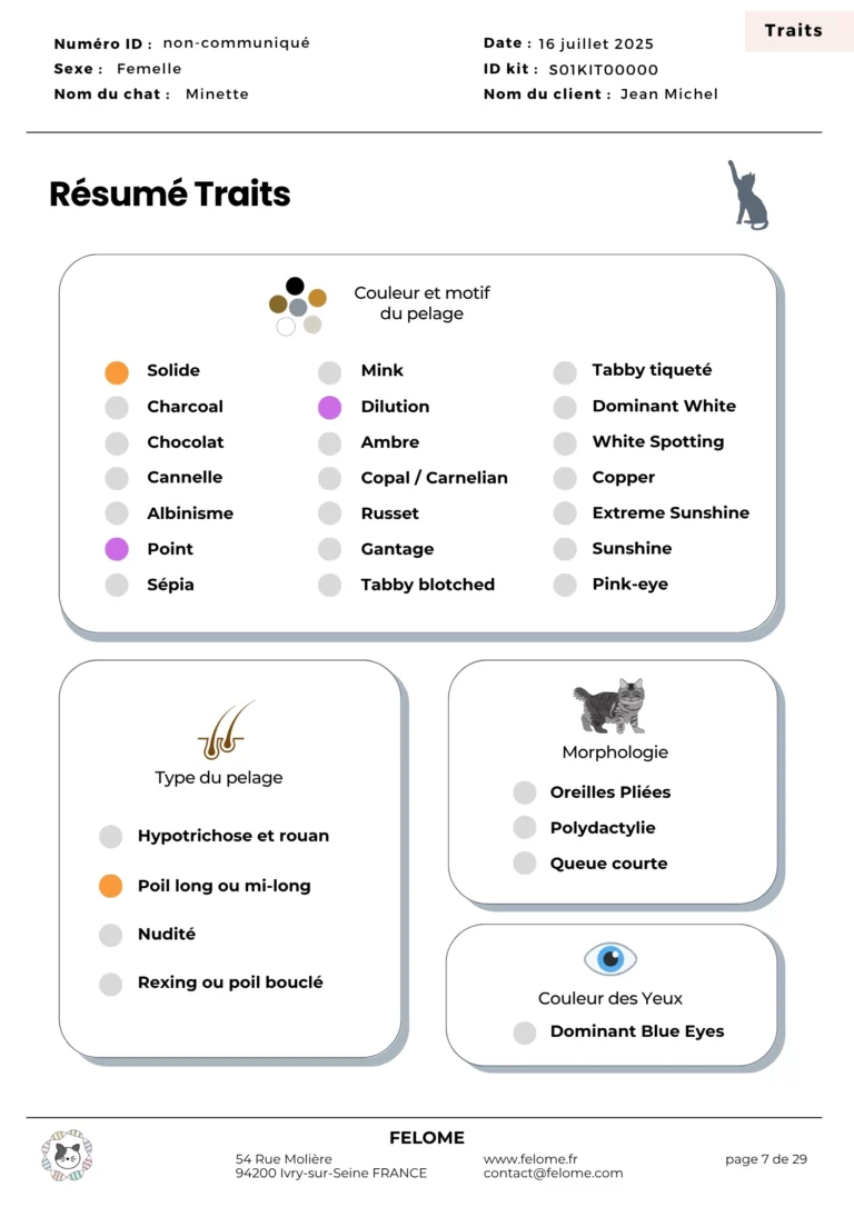 7-rapport-traits