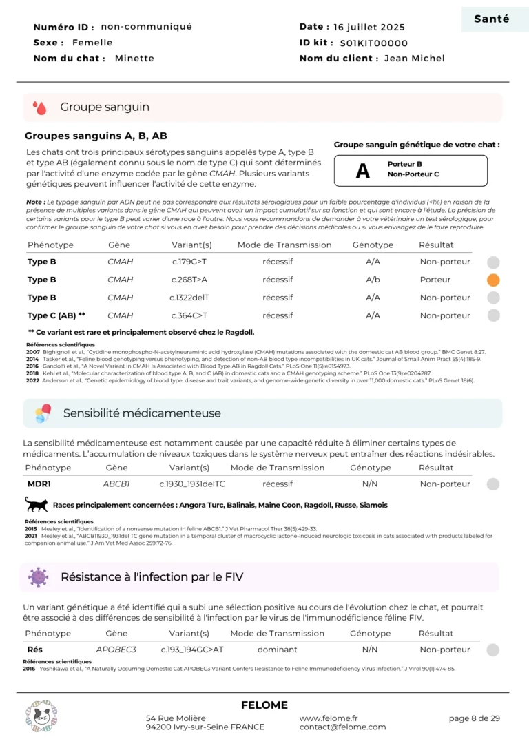 8-rapport-sante1