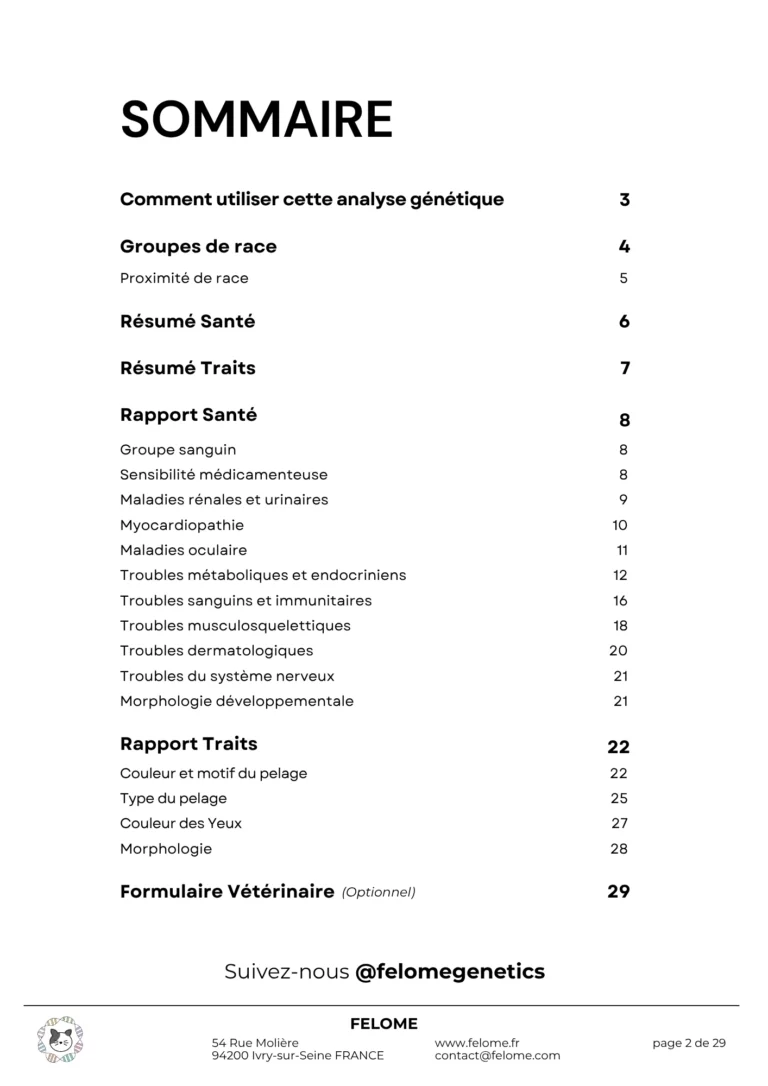 2-rapport-contents.webp
