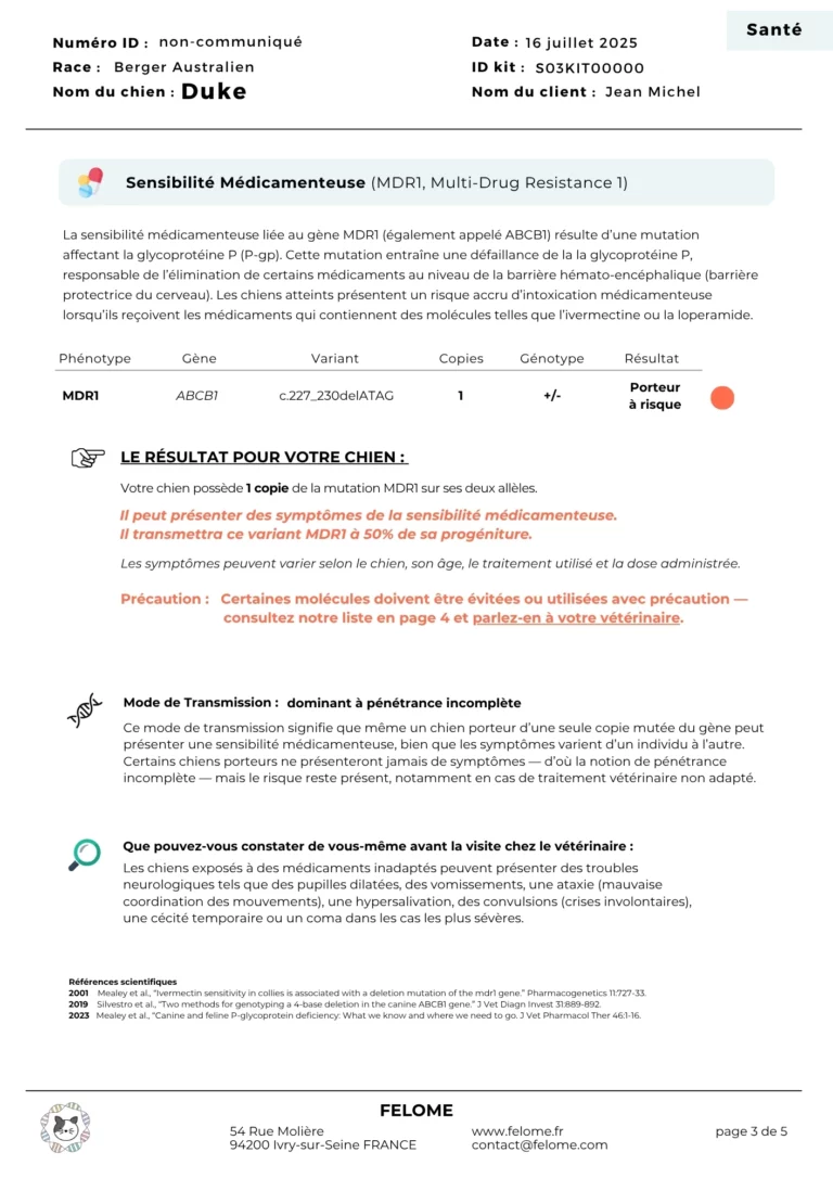 3d-rapport-mdr1