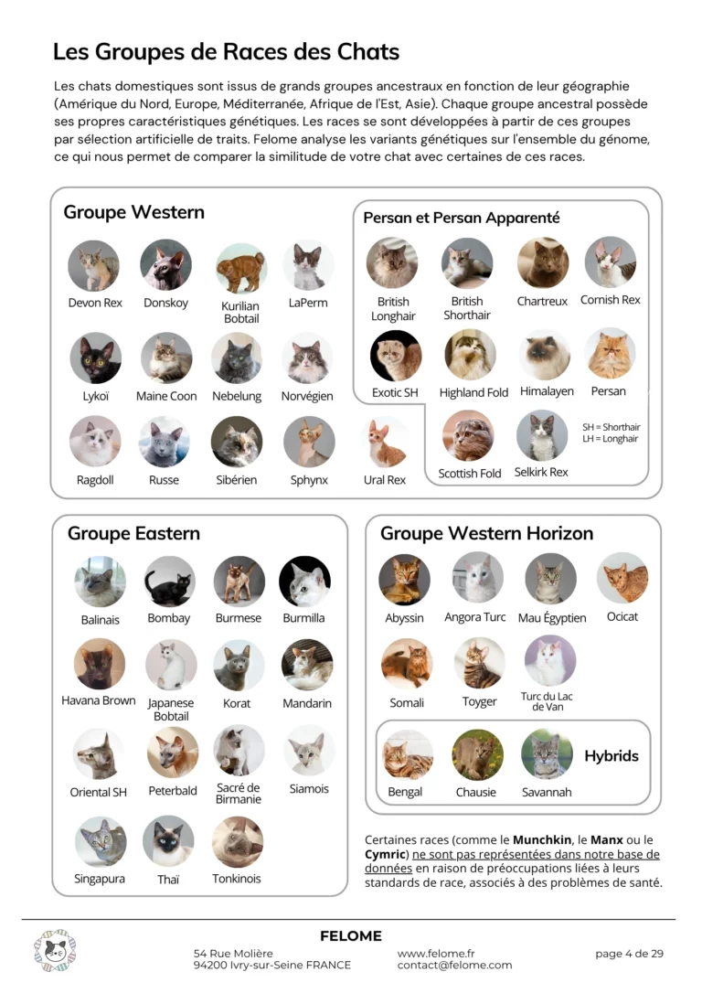 4-rapport-race.webp
