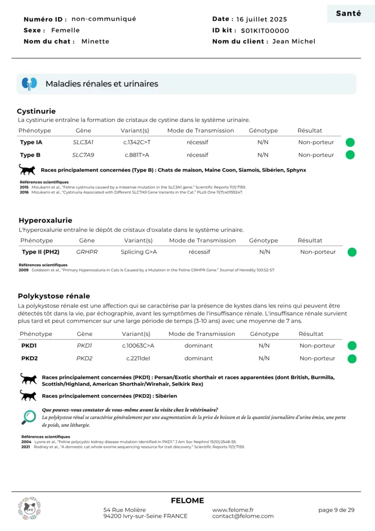 9-rapport-sante-2.webp