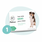 Boite du test ADN MDR1 pour chien Felome