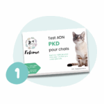 Boite du test ADN PKD1 pour chat Felome