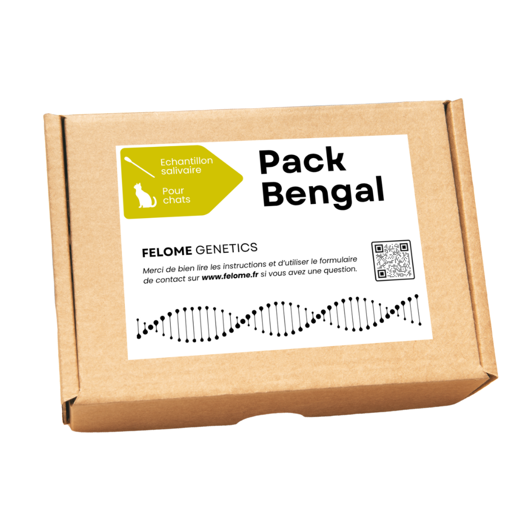 Pack Bengal