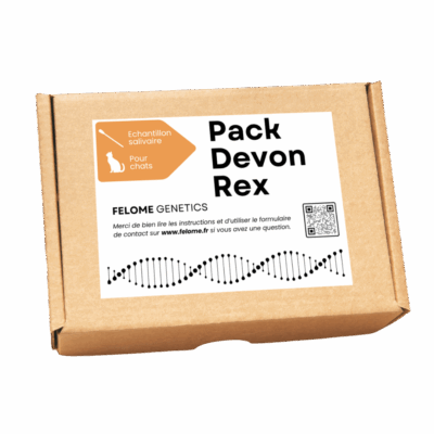 Pack Devon Rex