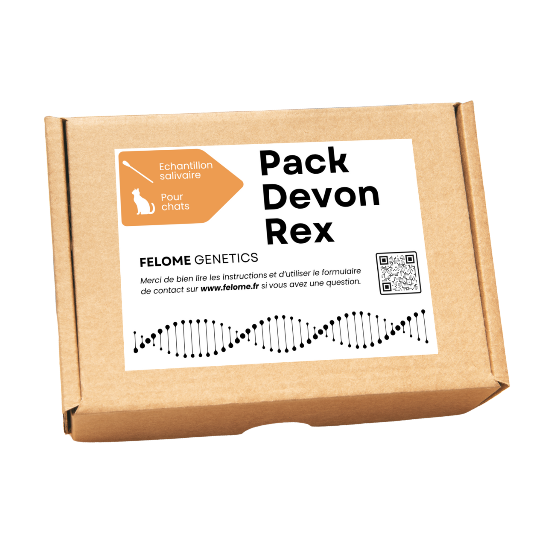 Pack Devon Rex