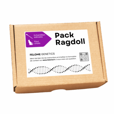 Pack Ragdoll