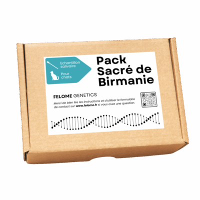 Pack Sacré de Birmanie