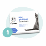 Bilan génétique Felome
