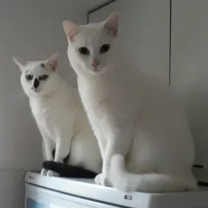 C'était trés bien. J’ai adoré !