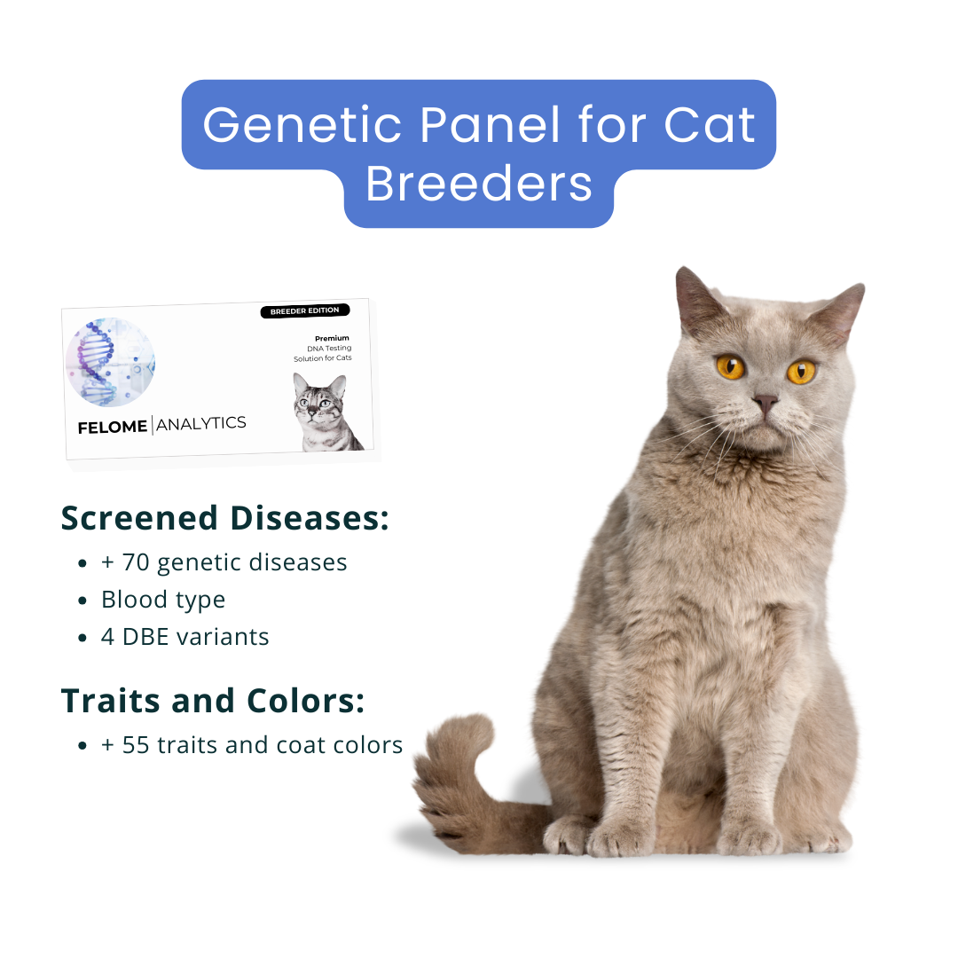 Cat DNA Analysis - for breeders