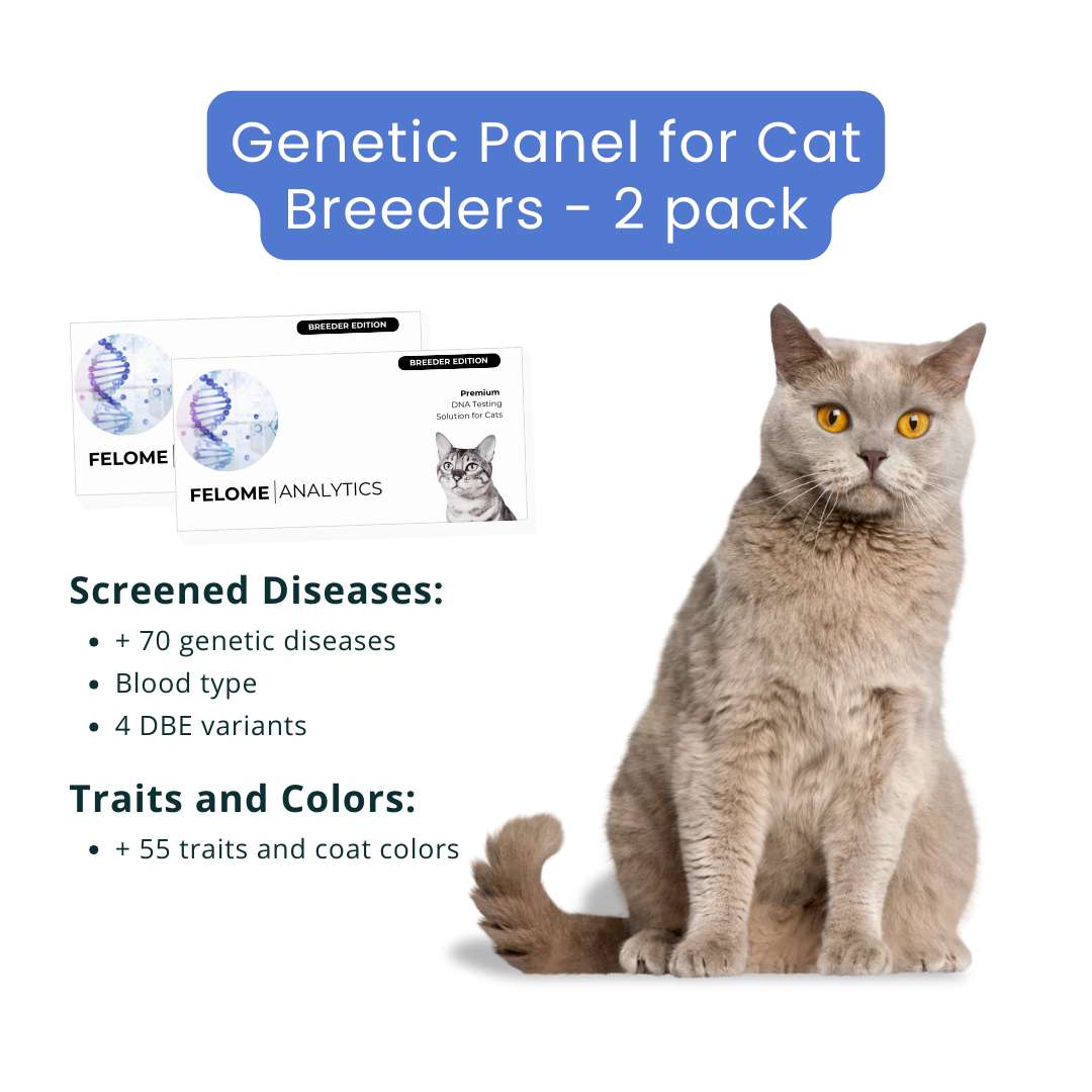 Pack of 2 Cat DNA Analysis - for breeders