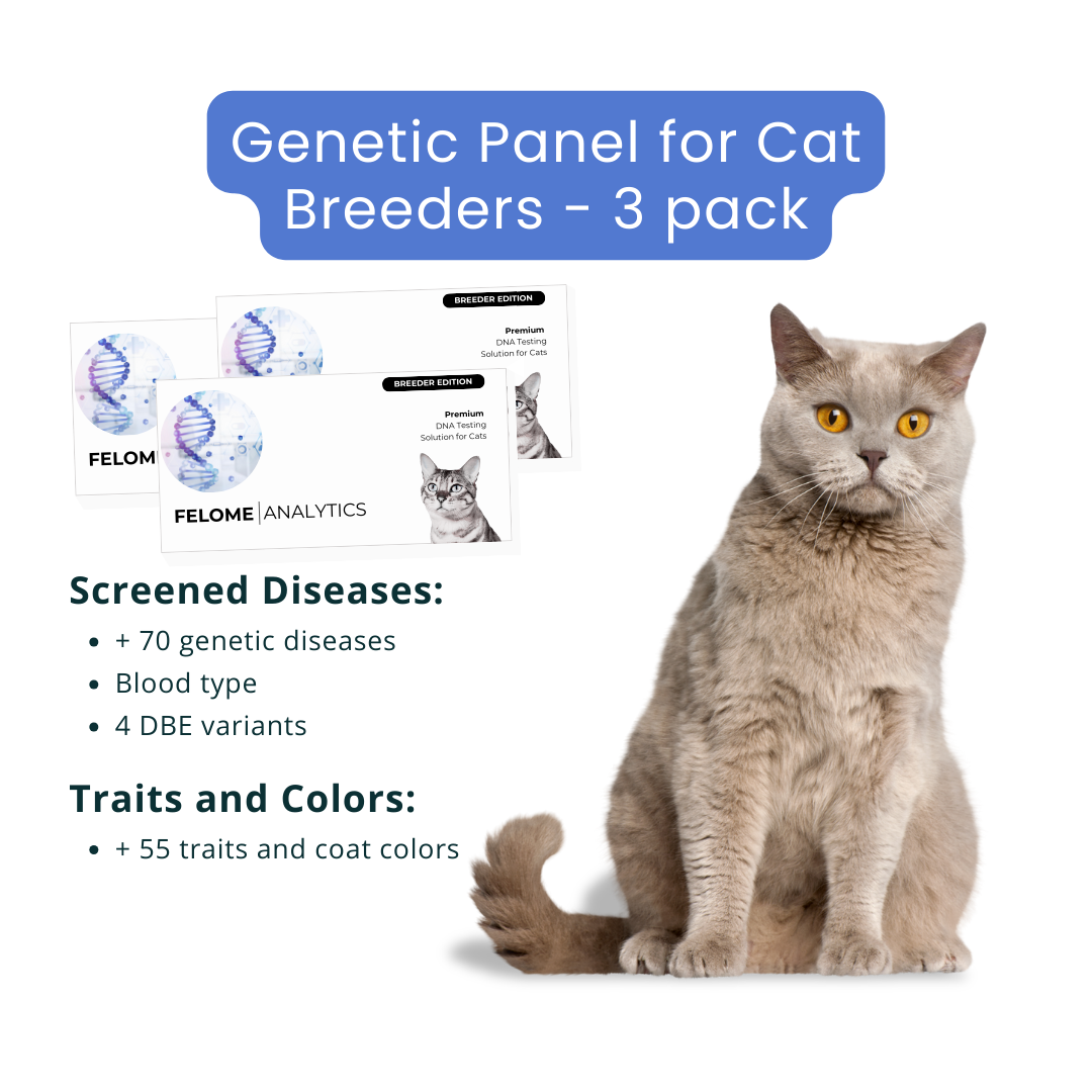 Pack of 3 Cat DNA Analysis - for breeders