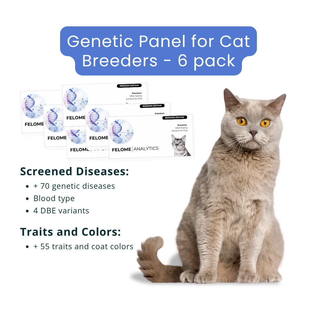 Pack of 6 Cat DNA Analysis - for breeders