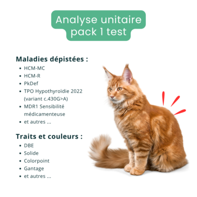 Analyse ADN - Pack de 1 test