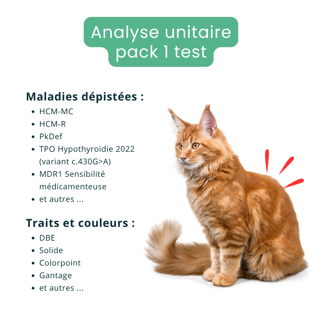 Analyse ADN - Pack de 1 test