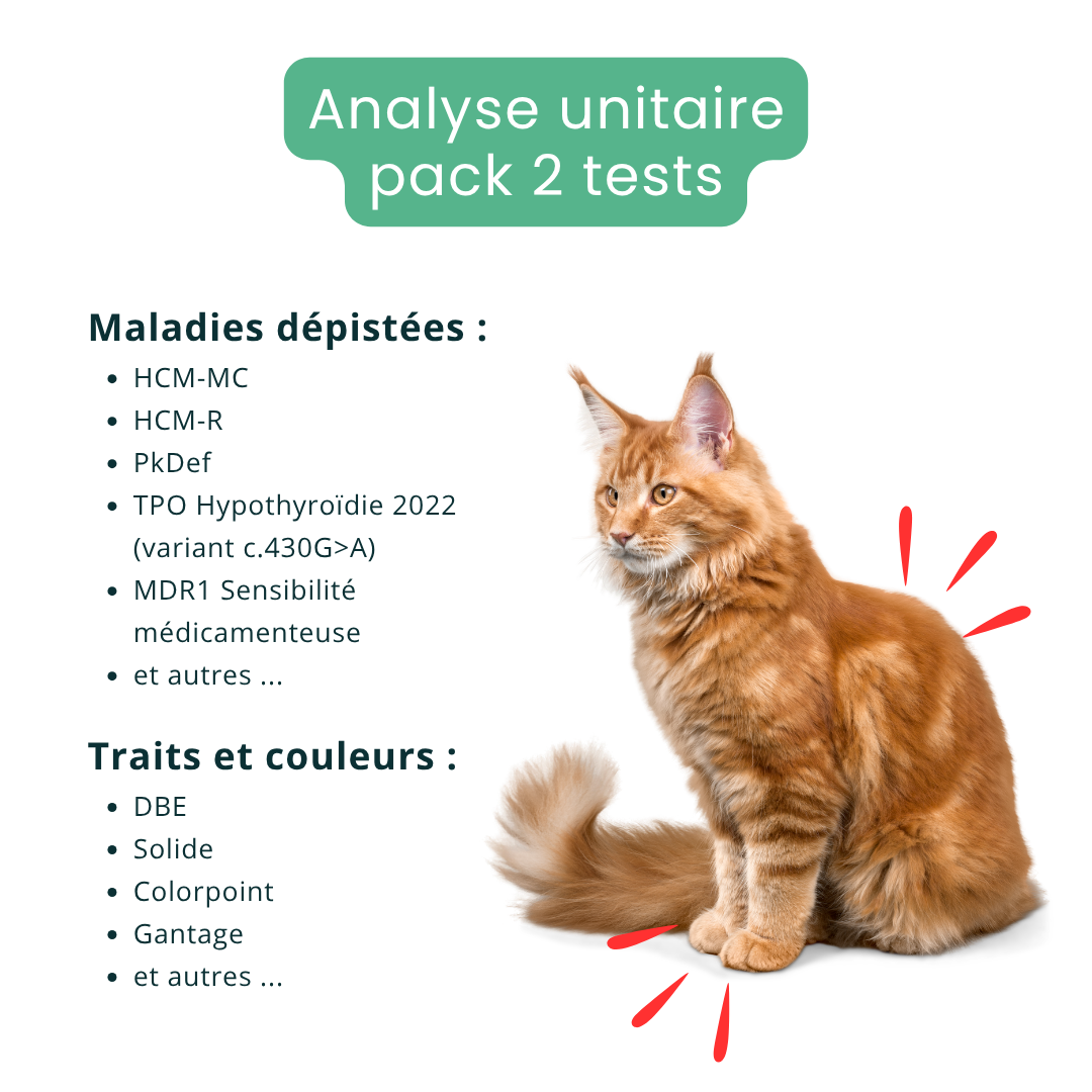 Analyse ADN - Pack de 2 tests