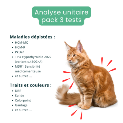 Analyse ADN - Pack de 3 tests