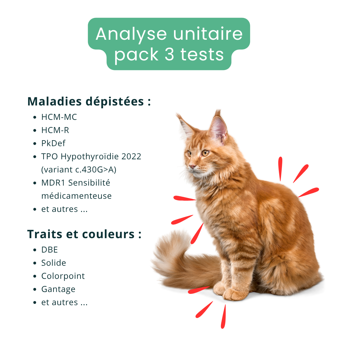 Analyse ADN - Pack de 3 tests