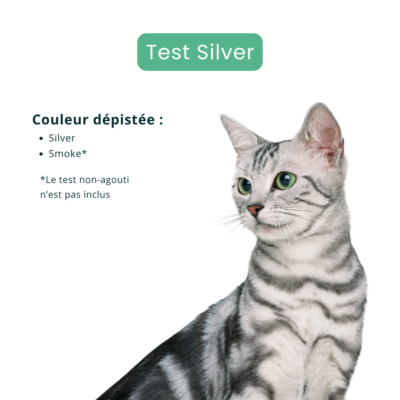 Test Silver pour chat