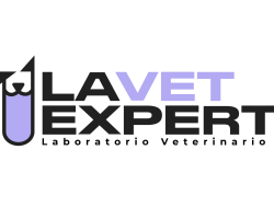 LOGO_LAVET EXPERT.pdf